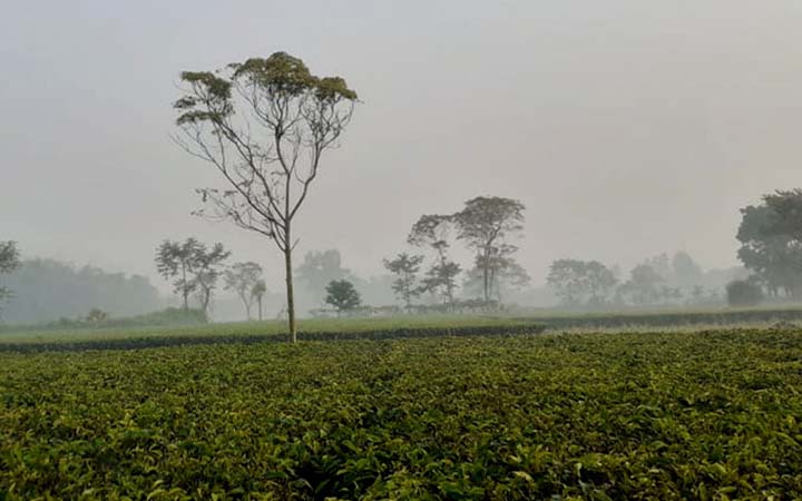 মৃদু শৈত্যপ্রবাহে কাঁপছে পঞ্চগড়, তাপমাত্রা ৯ ডিগ্রিতে
